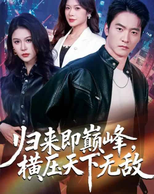 归来即巅峰,横压天下无敌(77集全)朱新辉&李沁瑶&孔雯雯-搜外项目网