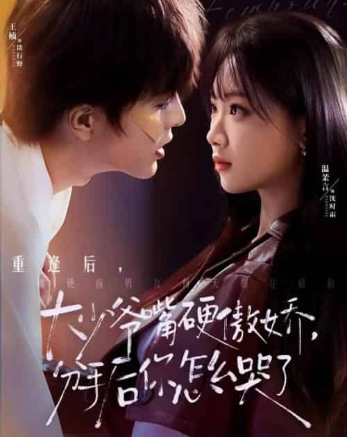 大少爷嘴硬傲娇，分手后你怎么哭了（80集全）王楠＆温茉言-搜外项目网