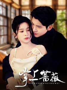 掌上蔷薇(46集全)冯思源&严雯丽-搜外项目网