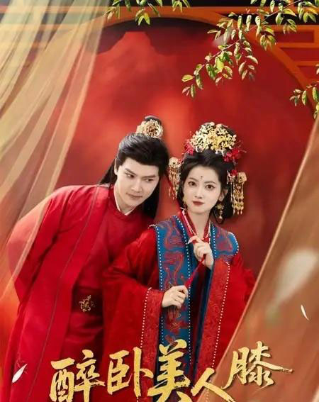 醉卧美人膝（66集全）梁雪峰＆阿尚（魏江）-搜外项目网