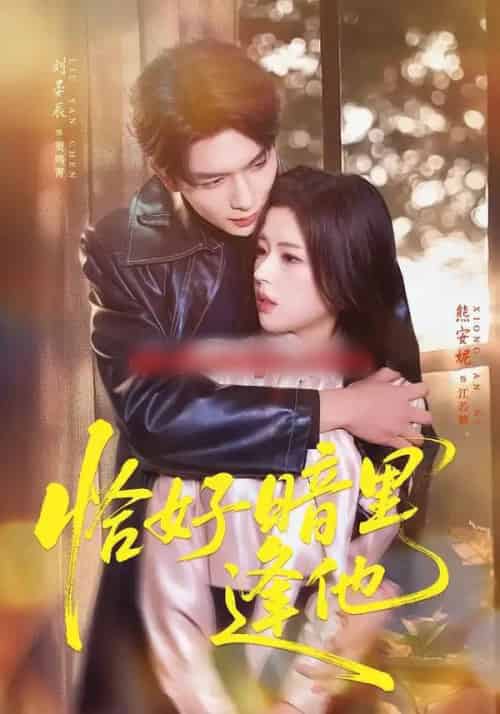 恰好暗里逢他(66集全)刘晏辰&熊安妮-搜外项目网
