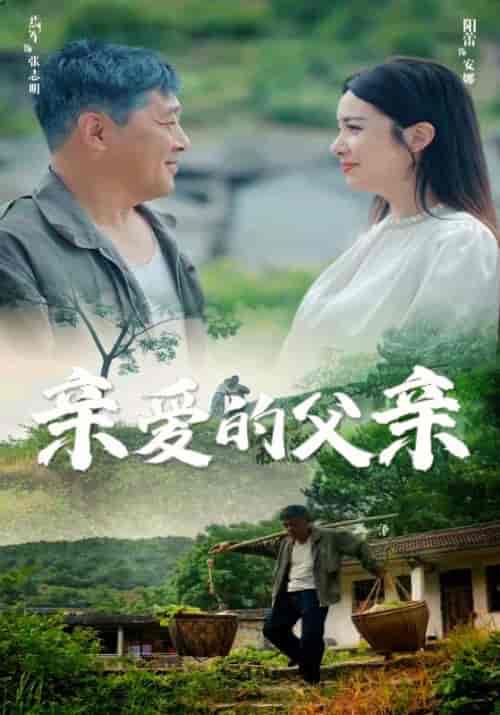 亲爱的父亲（71集）阳蕾-搜外项目网