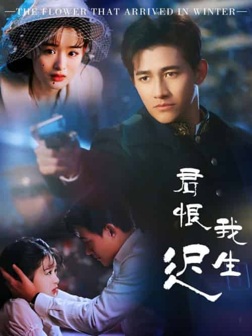 君恨我生迟＆司令府就是我的家（60集全）李子锋＆李紫一-搜外项目网