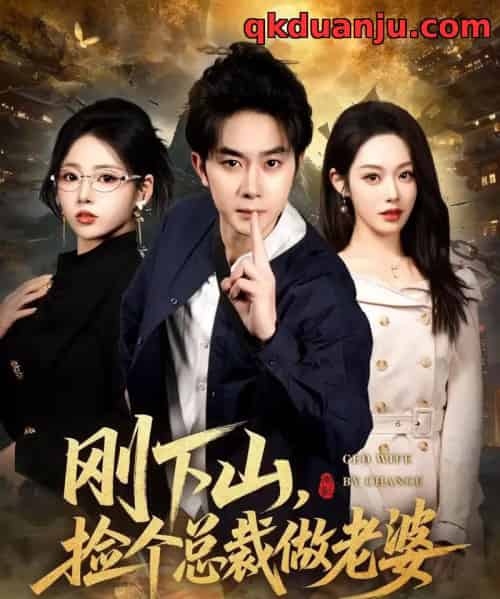 刚下山捡个总裁做老婆(80集全)杨皓竣&胡继月&李奕璇-搜外项目网