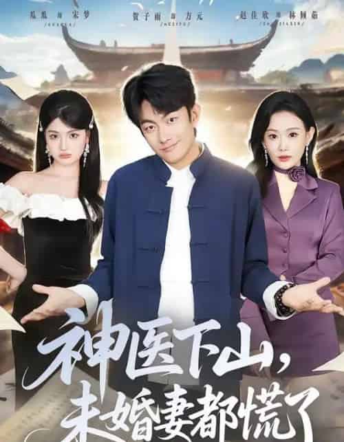 神医下山，未婚妻都慌了（71集全）贺子雨＆赵佳欣-搜外项目网