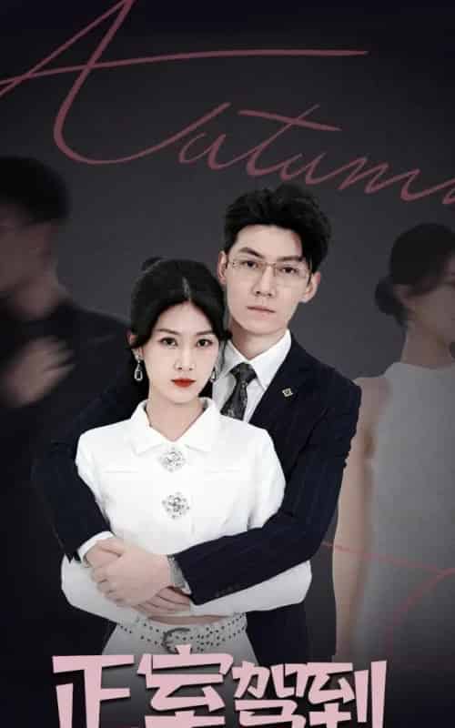 正室驾到(35集全)丁语乔&陈泓龙-搜外项目网