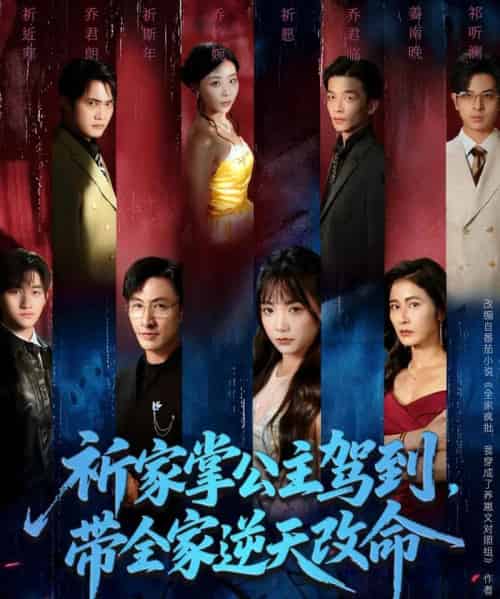 祈家掌公主驾到，带全家逆天改命（77集全）朱宏＆黄小再-搜外项目网