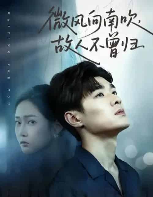 微风向南吹，故人不曾归（72集全）易柏辰＆王悦洋-搜外项目网