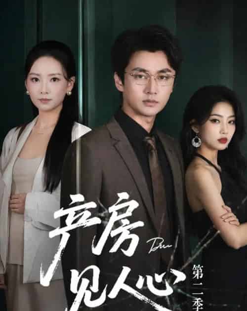 产房见人心第二季（75集全）任燕＆珑一-搜外项目网