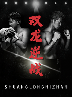 双龙逆战＆拳王之父子双龙（89集全）李媛菁＆乔馨莹-搜外项目网