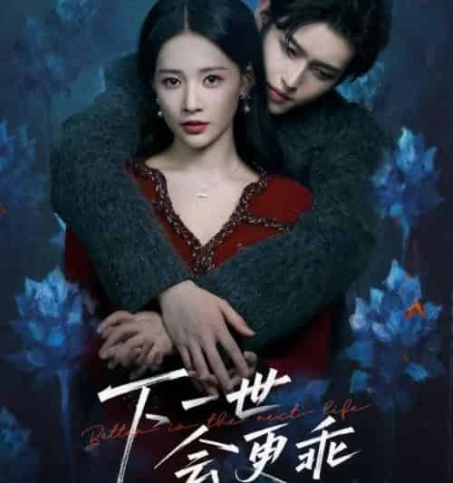 下一世会更乖（60集全）沈子洋＆何适-搜外项目网