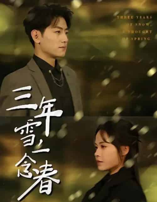 三年雪,一念春(70集全)王金宝&林诺诺-搜外项目网
