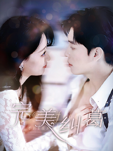 完美纠葛(68集全)郑文岩-搜外项目网