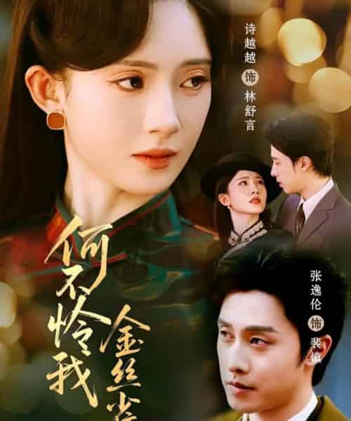 何不怜我金丝雀（60集全）张逸伦＆诗越越-搜外项目网