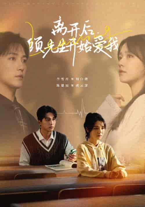 离开后顾先生开始爱我(30集全)陈楚洹&李雪丹-搜外项目网