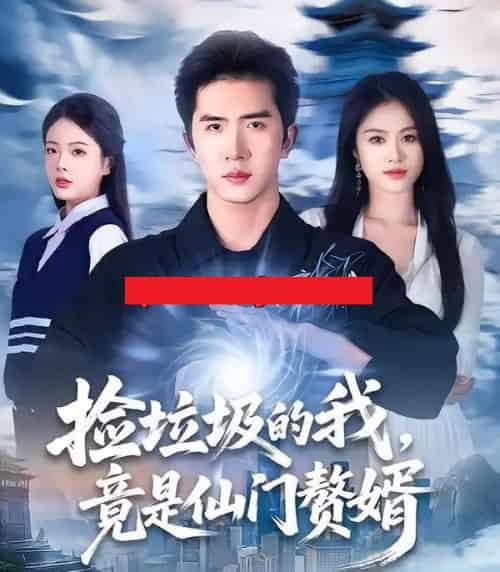 捡垃圾的我，竟是仙门赘婿（70集全）李芝桦＆徐烯霁-搜外项目网