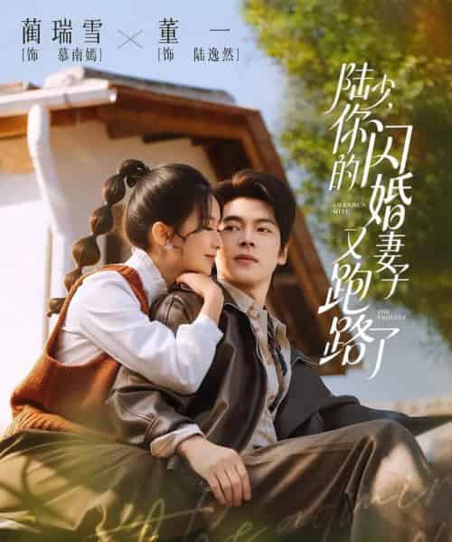 陆少，你的闪婚妻子又跑路了（73集全）董一＆蔺瑞雪-搜外项目网