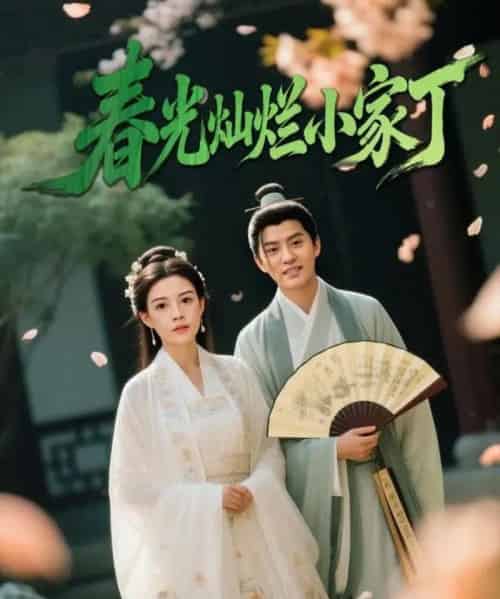 春光灿烂小家丁（102集全）赵雪＆陈云廷-搜外项目网