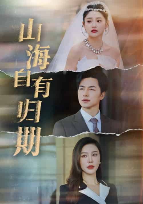 山海自有归期（50集全）吴昊-搜外项目网