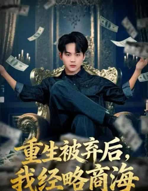 重生被弃后，我经略商海（80集全）高哲＆王晴晴-搜外项目网