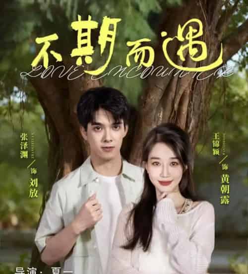 不期而遇(62集全)张泽渊&王锦颖-搜外项目网