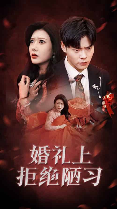 婚礼上拒绝陋习（30集全）彭千玲-搜外项目网