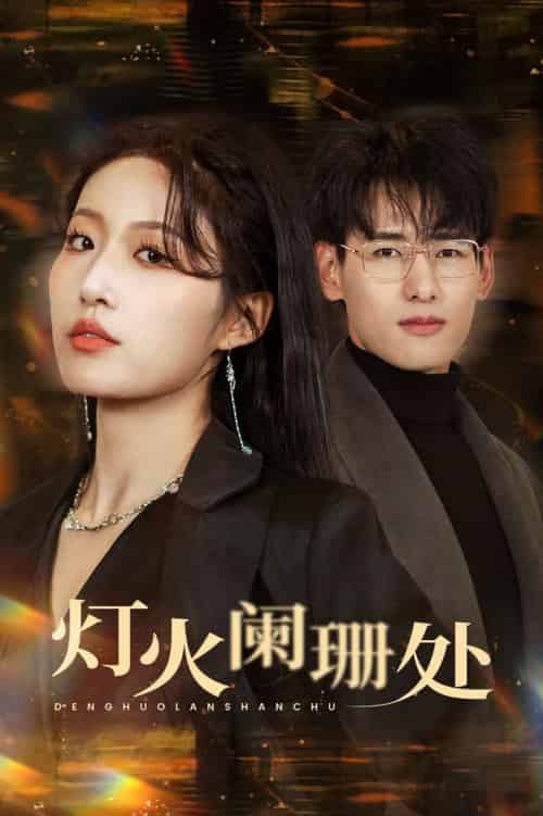 灯火阑珊处（34集全）宋喃-搜外项目网