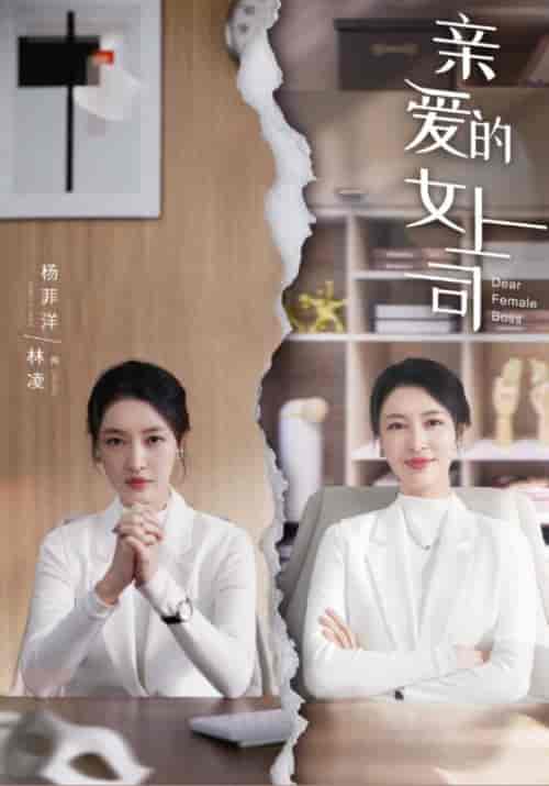 亲爱的女上司（30集全）小林＆林凌-搜外项目网