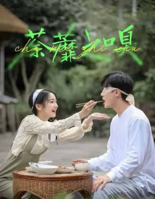 荼蘼之嗅（31集全）沈国洋＆耿池苏-搜外项目网