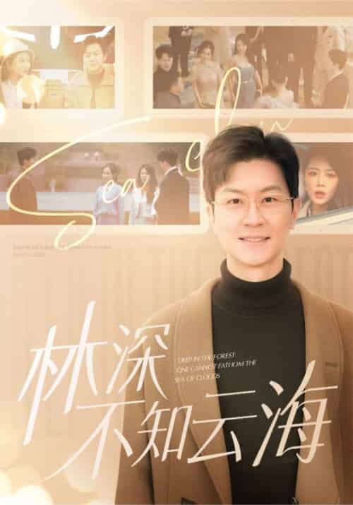林深不知云海（84集全）陈凡＆柳如烟-搜外项目网