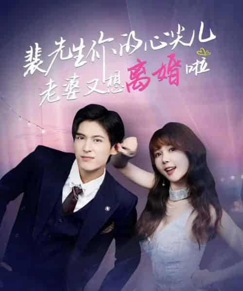 裴先生你的心尖儿老婆又想离婚啦＆裴先生的复婚攻略（80集全）龙琛＆鹿蓝予 - 搜外短剧