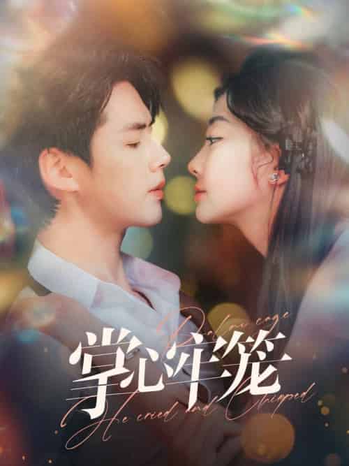 掌心牢笼（84集全）李佑霖＆李欣怡-搜外项目网