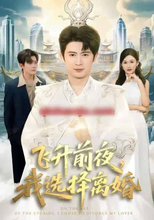 飞升前夜，我选择离婚（80集全）王昭＆张颖洁-搜外项目网