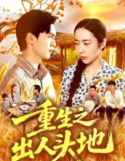 重生之出人头地（88集全）杨林涛＆林准＆王启航-搜外项目网