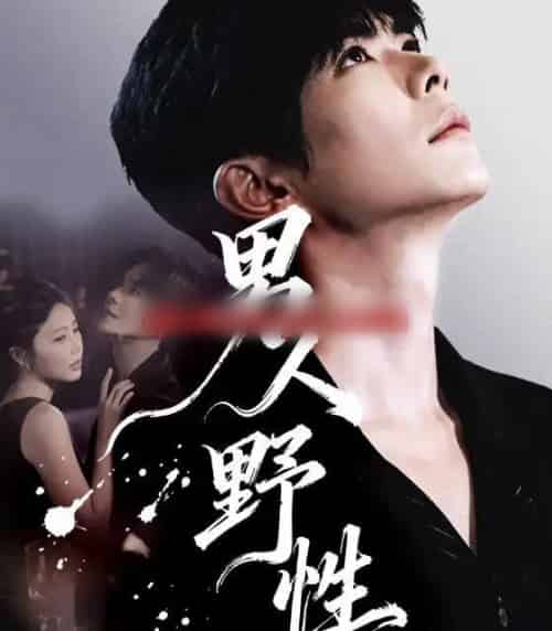 男人野性(66集全)温宇&陈酉昔-搜外项目网