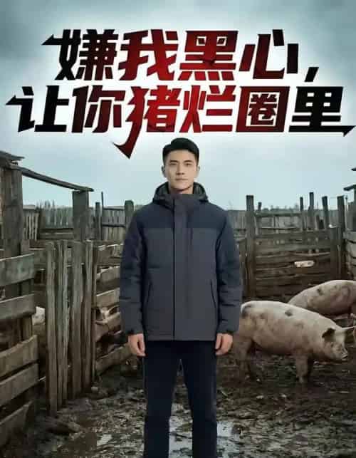 嫌我黑心，让你猪烂圈里（20集全）AI-搜外项目网