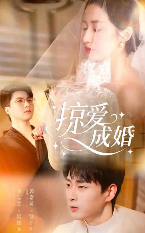 掠爱成婚(57集全)郭嘉琦&徐忠慧-搜外项目网