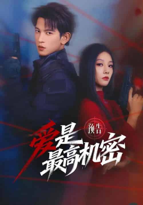 爱是最高机密（24集全）王嘉懋＆朱丽岚-搜外项目网
