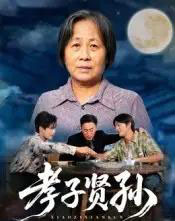 孝子贤孙（81集全）张易嵘＆陈妞妞-搜外项目网