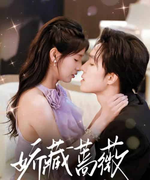 娇藏蔷薇（64集）梁思伟＆王槿-搜外项目网