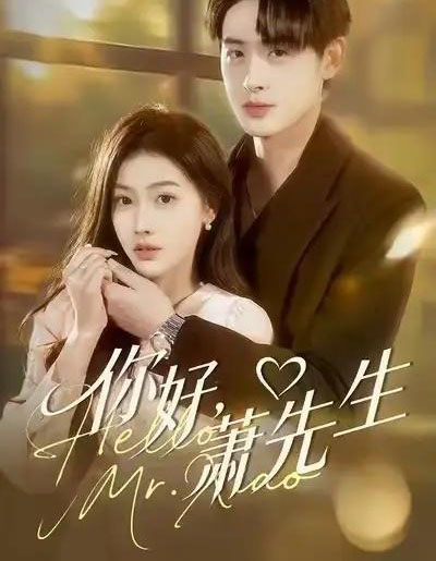 你好，萧先生（98集全）乔婉宁＆李小风-搜外项目网