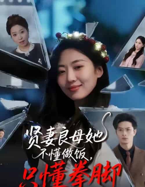 贤妻良母她不懂做饭，只懂拳脚（82集全）靳茗程＆刘定琛-搜外项目网