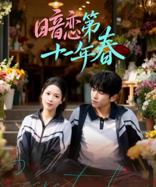 暗恋第十一年春（60集全）曹竣柯＆宾淑贤-搜外项目网