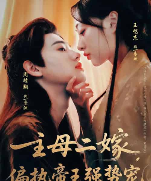 主母二嫁偏执帝王强势宠（81集）周靖翔＆王恺杰-搜外项目网