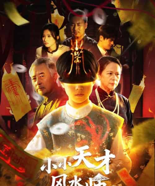 小小天才风水师（80集全）-搜外项目网