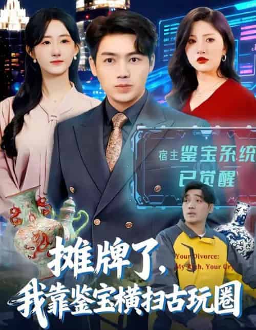 摊牌了,我靠鉴宝横扫古玩圈(80集全)刘洋&袁初年-搜外项目网