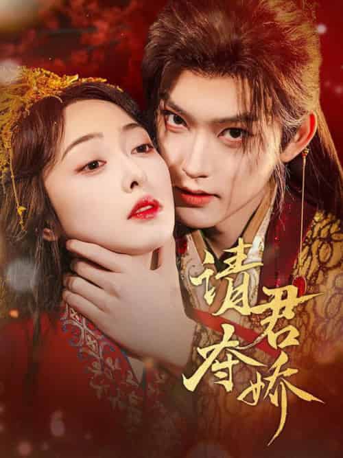请君夺娇(71集全)周凌丰&王恺杰-搜外项目网