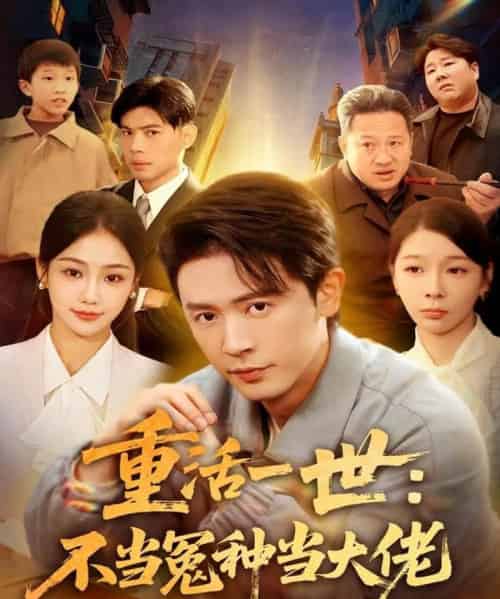 重活一世：不当怨种当大佬（80集全）王昭＆尹喜善-搜外项目网