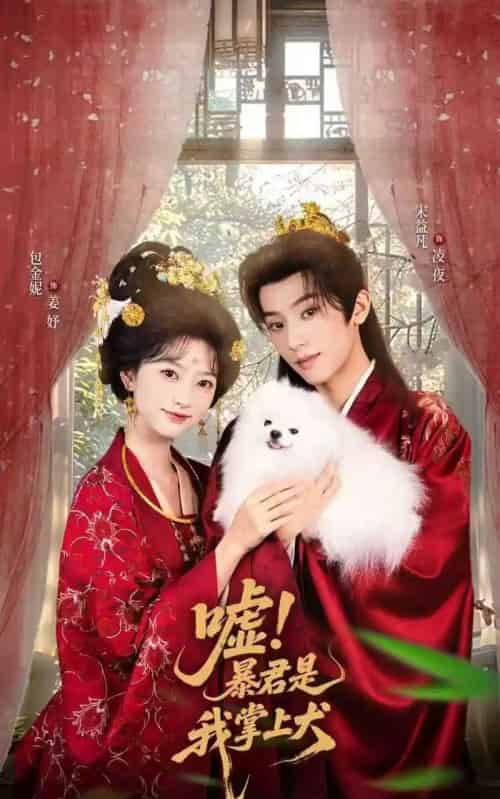 嘘暴君是我掌上犬＆废妃逆袭陛下借宠识真心（40集全）包金妮＆宋益凡-搜外项目网