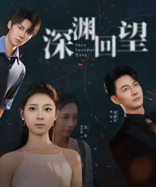 深渊回望（60集全）刘梦婷＆樊磊-搜外项目网